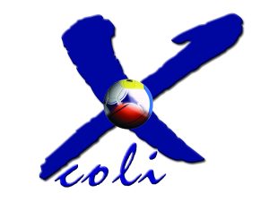 logo_01